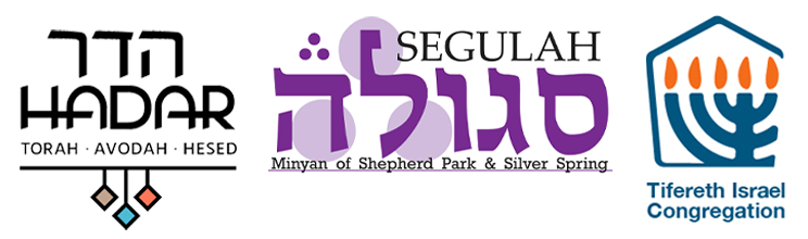 Logos for Segulah TI and Hadar
